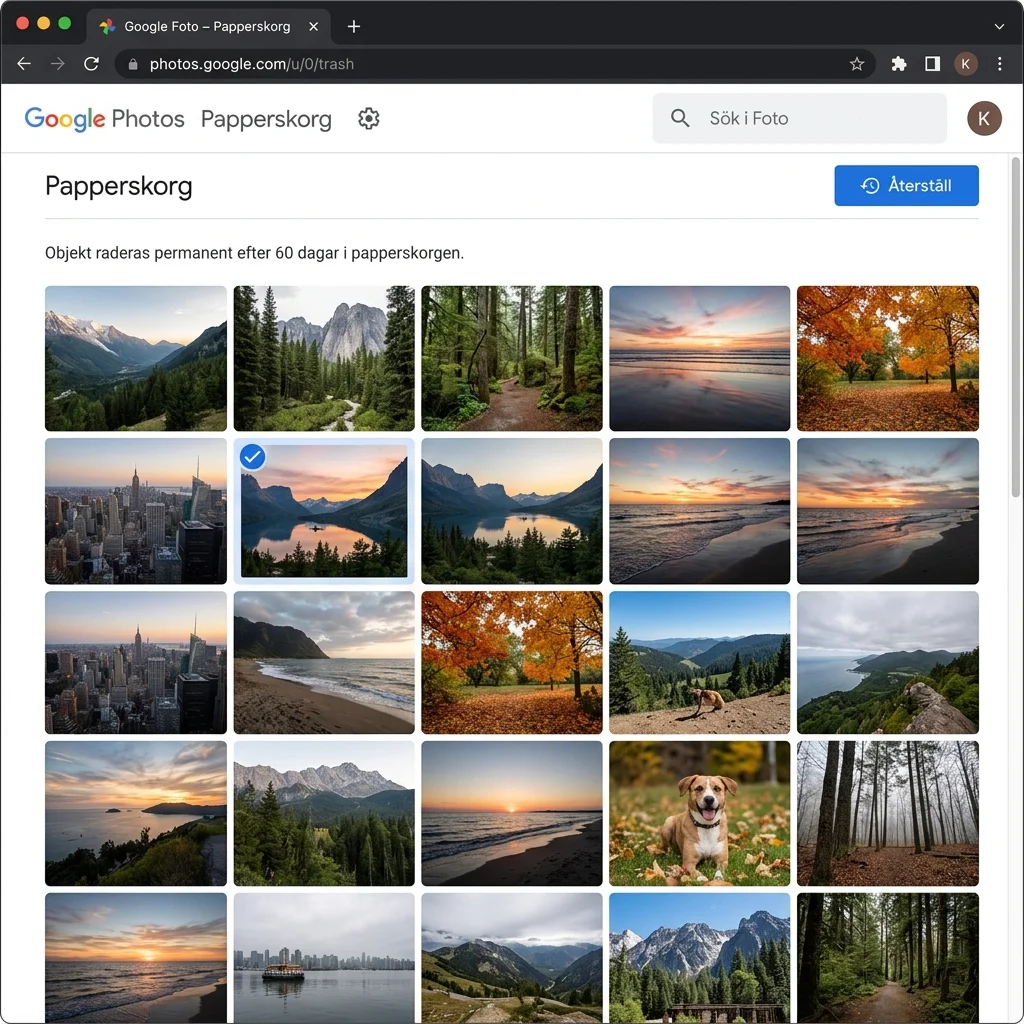 Google Foto-appen som visar papperskorgen med raderade bilder och återställningsknappen